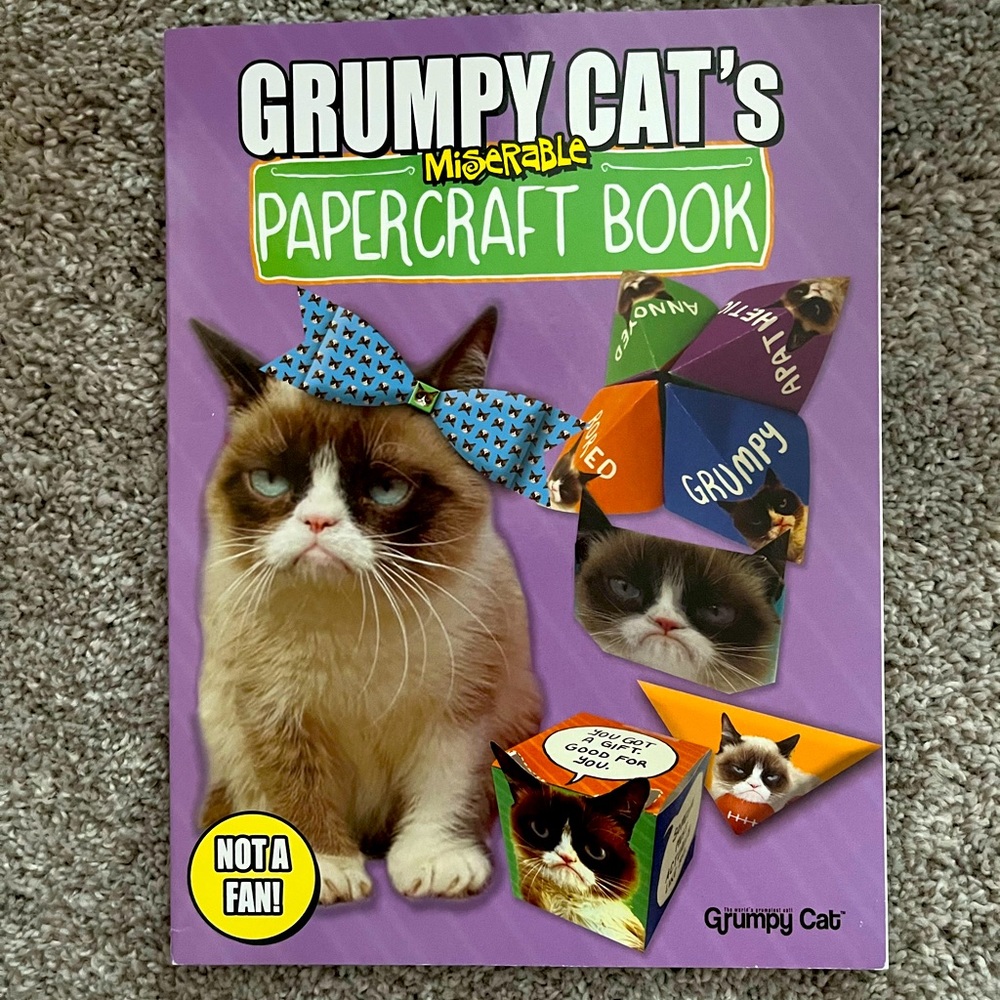 Grumpy Cat papercraft book